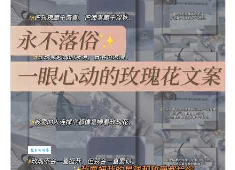 玫瑰花到期了下句是什么 别急着扔还能这样用