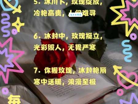 玫瑰花到期了下句是什么 别急着扔还能这样用