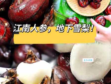 荸荠读音是什么 很多人读错了的正确发音在这里