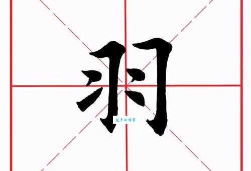 立羽念什么字专家教你正确读写这个字