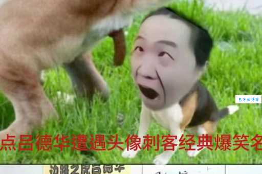 德华是什么意思网络用语解析一看就懂