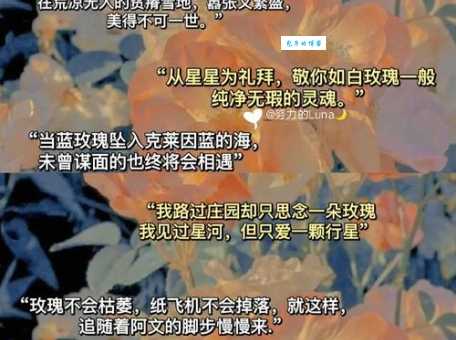 玫瑰花到期了下一句什么意思 网友热议情感解读