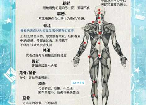 躯壳是什么意思为什么说它不只是身体