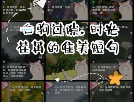 光阴荏苒的荏怎么读这个字背后藏着时间秘密