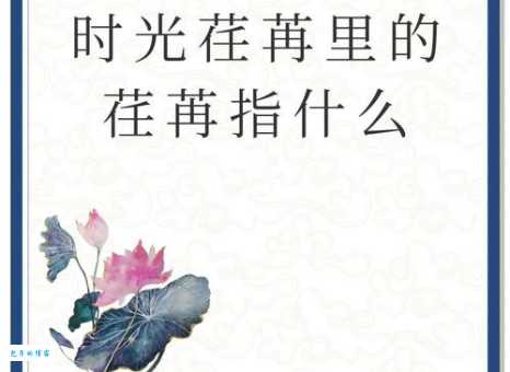 光阴荏苒的荏怎么读这个字背后藏着时间秘密
