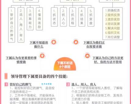 企业凝聚力如何打造团队高效协作的秘密