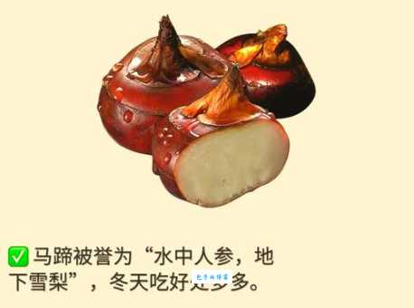 马蹄其实是马的角质层这些常识你都知道吗