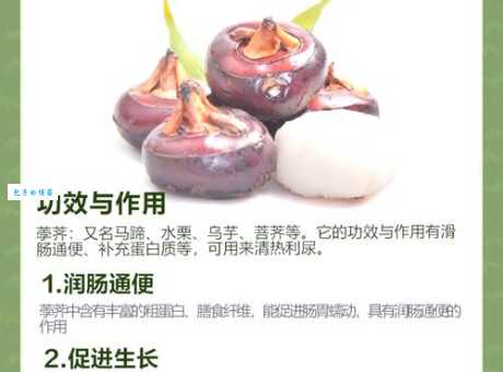 马蹄其实是马的角质层这些常识你都知道吗