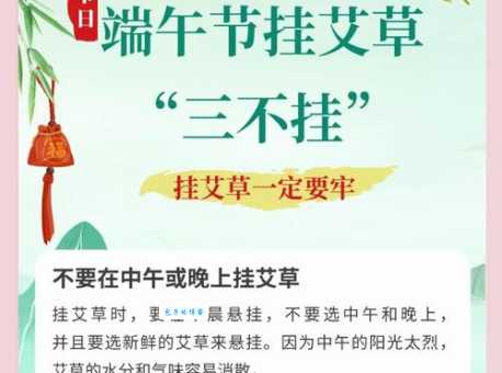 端午节艾草象征健康长寿,老祖宗的智慧暗藏科学