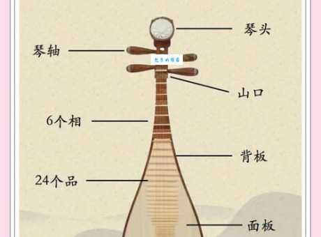 琵琶中的琵和琶最初指的是什么很多人都不知道