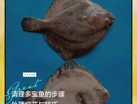 多宝鱼怎么处理干净老渔民分享的实用经验