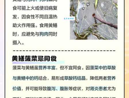 鳝始鳝终是什么意思这个说法从哪来的
