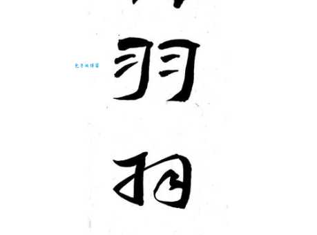 立羽什么字读什么音 生僻字发音教学