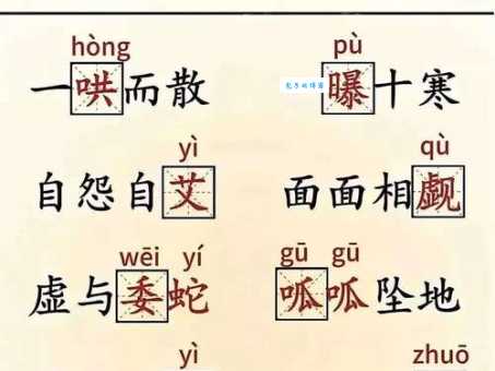 邳怎么读很多人不知道的正确读法一次教会你