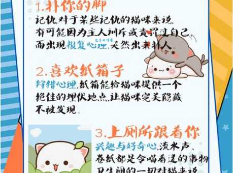 萌萌哒什么意思中文解释 可爱萌萌哒的含义