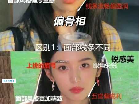 张婧怡和周迅什么关系她们为何如此亲密