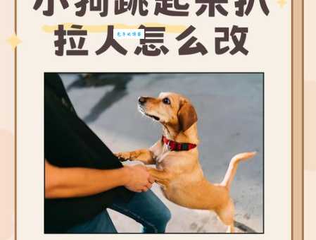 扒拉是什么意思 生活中这个动作你肯定做过