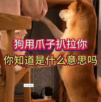 扒拉是什么意思 生活中这个动作你肯定做过