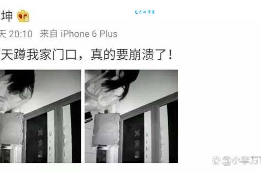 私生饭是什么意思明星最怕的粉丝类型