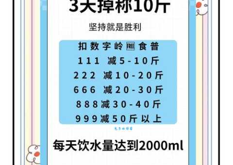 最好用的减肥产品使用心得 一个月瘦10斤的真实体验