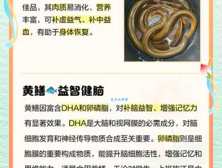 鳝始鳝终什么意思 原来是指黄鳝的一生