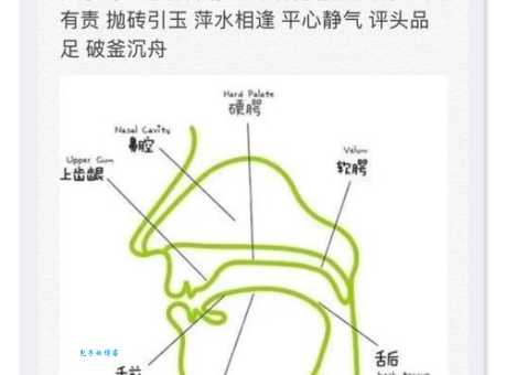 蚌埠读音小技巧轻松掌握正确发音方式