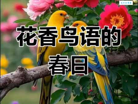 鸟语花香的意思你知道吗 其实生活中处处可见