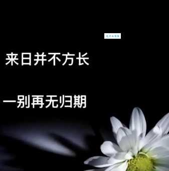 来日方长是什么意思 为什么说这个词充满希望