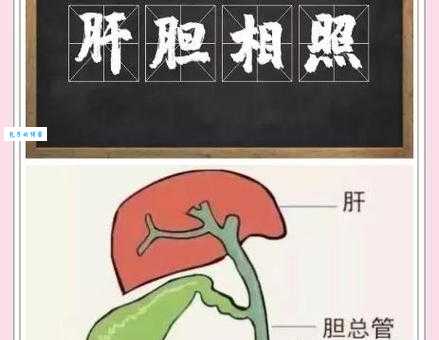 肝胆相照什么意思 从历史典故看真诚友谊的可贵