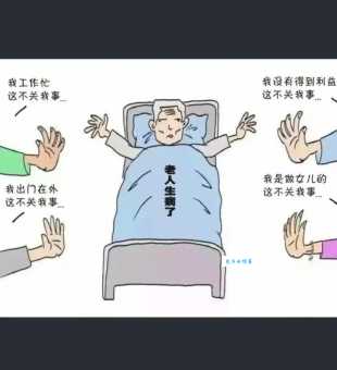 乌鸦反哺是什么意思动物界的孝道让人感动