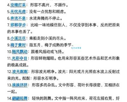 泛滥成灾是什么意思 简单解释这个常见词语的含义