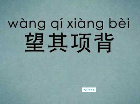 望其项背是什么意思这个成语的由来你知道吗