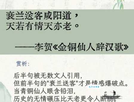 天若有情天亦老的意思这句诗为何流传千年