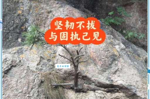 坚韧不拔是什么意思 为什么成功人士都具备它