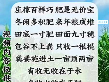 肥水不流外人田是什么意思现在终于搞明白了
