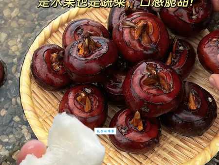荸荠的正确发音详解别再叫错这个名字了