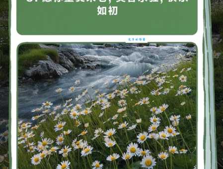 童心未泯所遇皆甜是什么意思为什么说心态决定一切