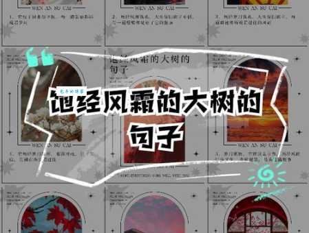 饱经风霜是什么意思 它常用来形容什么样的人或事物