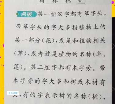 草字头高木念什么快速掌握这个字的读法