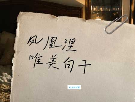 揭秘凤凰涅盘的意思背后不为人知的故事