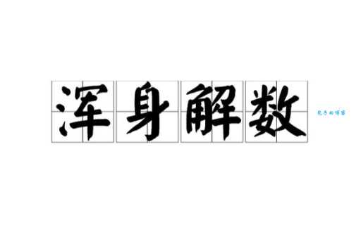 浑身解数什么意思 这个成语到底该怎么理解
