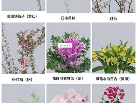 奇花异草的异是什么含义 看完这篇就懂了
