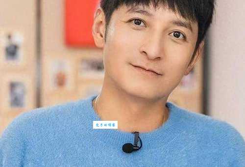 李维嘉的资料详细版他的职业发展和个人生活