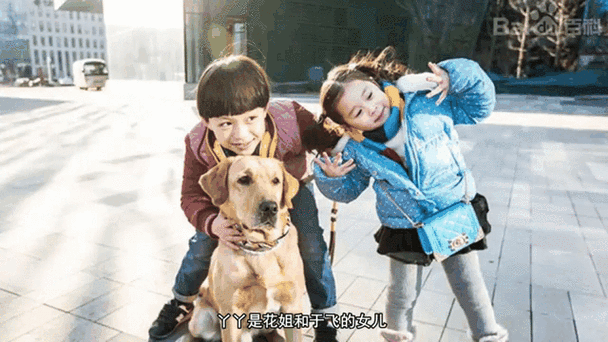 神犬小七结局解析 小七和主人的感人重逢
