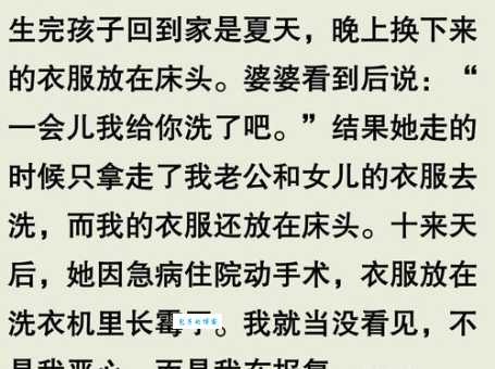 婆婆来了小说结局深度剖析爱与恨的最终归宿