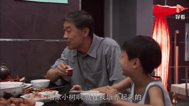 我是一棵小草大结局小草的故事终于迎来终章