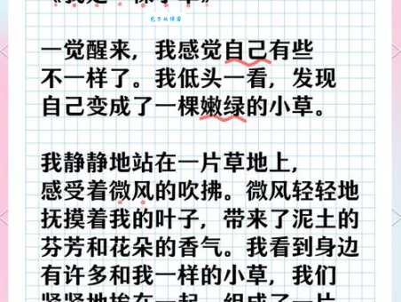 我是一棵小草大结局小草的故事终于迎来终章