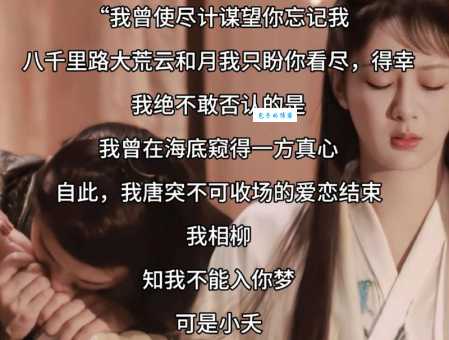 明月心结局完整版她的故事终于有了答案