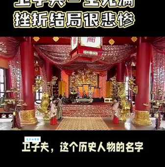 卫子夫电视剧大结局观众评价与剧情解析