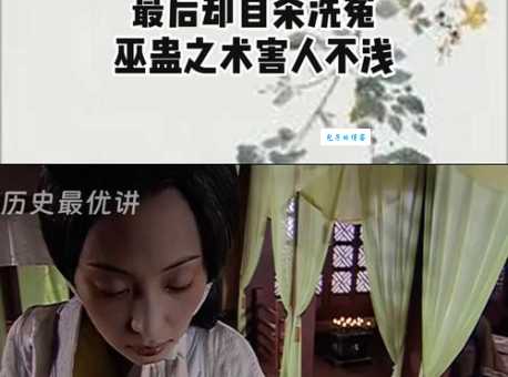 卫子夫电视剧大结局观众评价与剧情解析